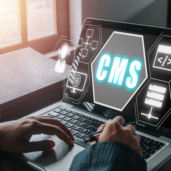 custom software development